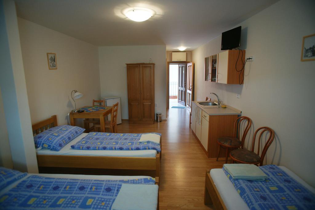 Alva Pension 2 Мікулов Номер фото